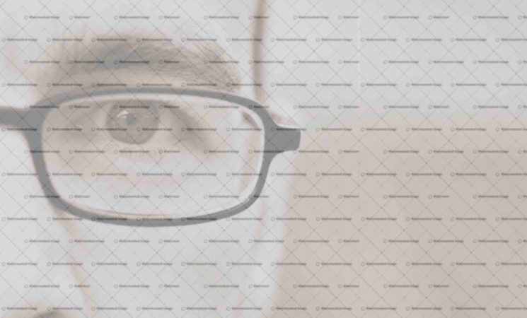 Polar bear injures sleeping tourist in Norway's Arctic